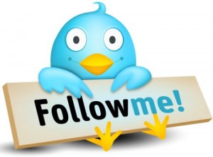 Twitter-Follow-Me-300x222